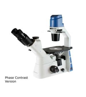 OX.2003-PLPH EUROMEX OXION PHASE
