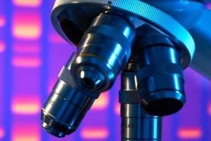 Compound Microscopes